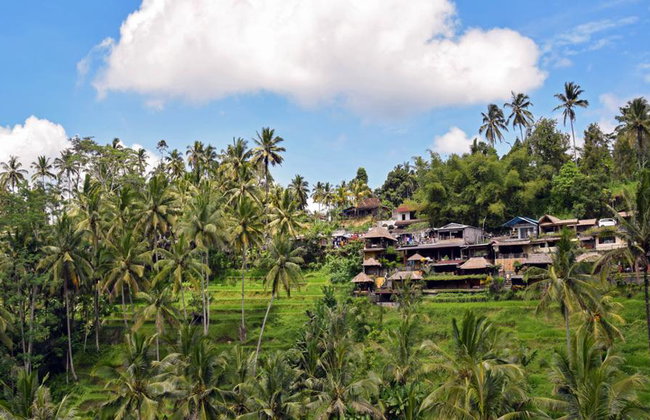 ResiRest - Joining a local family at their eating table in Bali (Ubud) - Photo 4